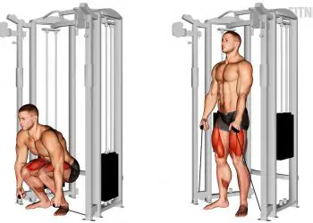 Cable Deadlift Exercise