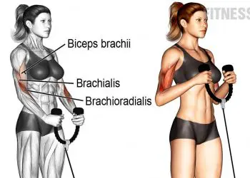 Cable Hammer Curl Forearm Exercise