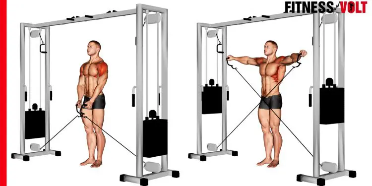 Cable Lateral Raise Shoulder Exercise