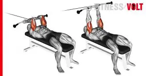 Cable Lying Triceps Extension Upper Arms Exercise