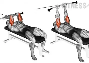 Cable Lying Triceps Extension Upper Arms Exercise