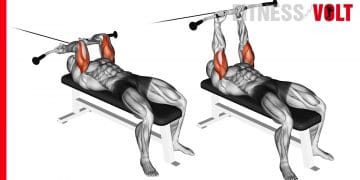Cable Lying Triceps Extension Upper Arms Exercise