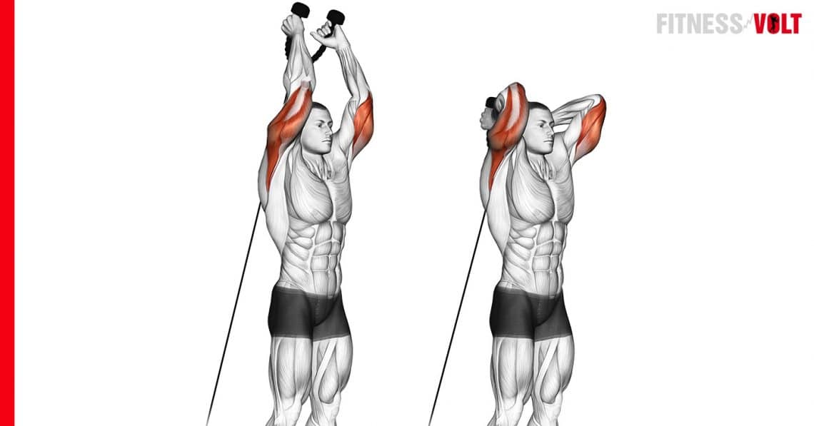 How To Do The Cable Overhead Triceps Extension w/ Rope Fitness Volt