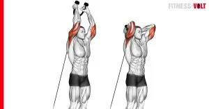 Cable Overhead Triceps Extension