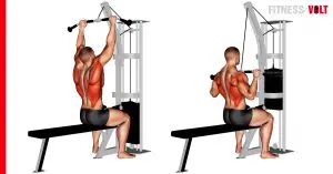 Cable Pulldown Exercise