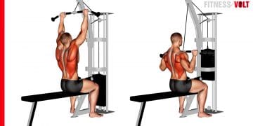 Cable Pulldown Exercise