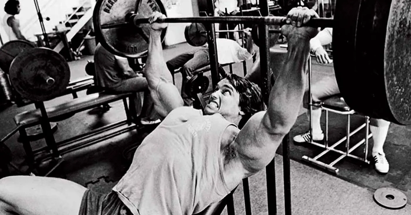 Chest Press vs. Bench Press
