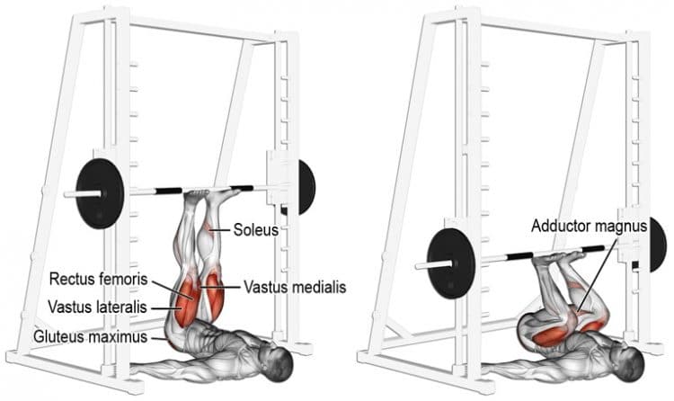 What is a Leg Press? (A guide to using a leg press)