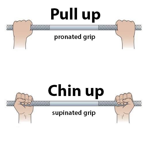 Pull Up Vs. Chin Up Grip