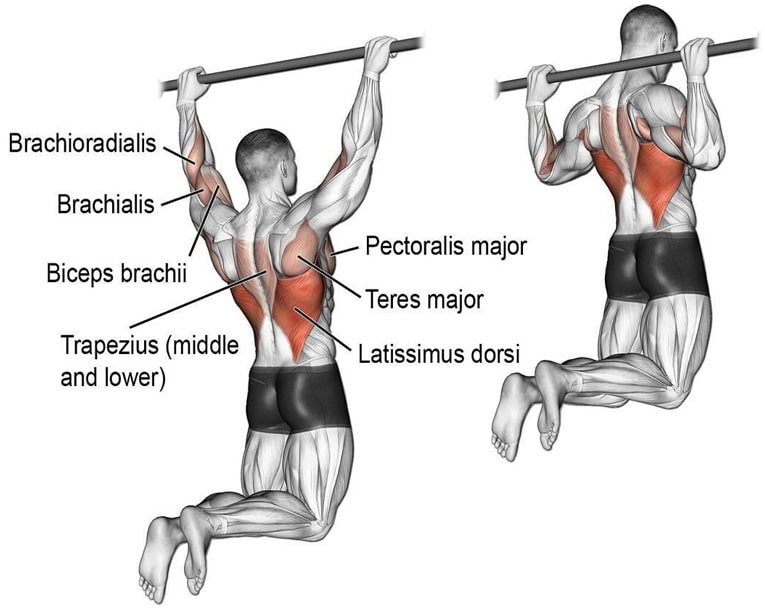 Pull Ups Behind The Neck