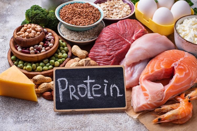 Animal and plant proteins