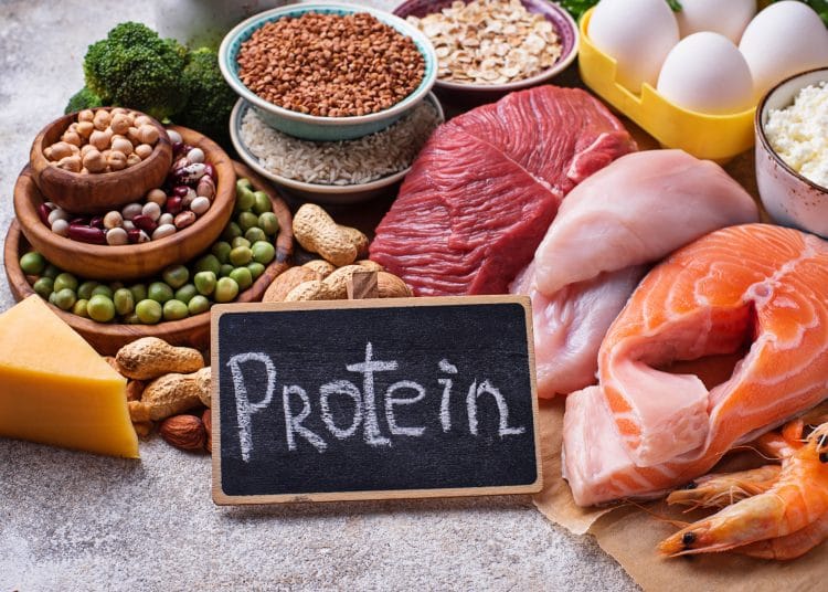 Animal and Plant Protein