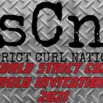 Arnold Classic Strict Curl