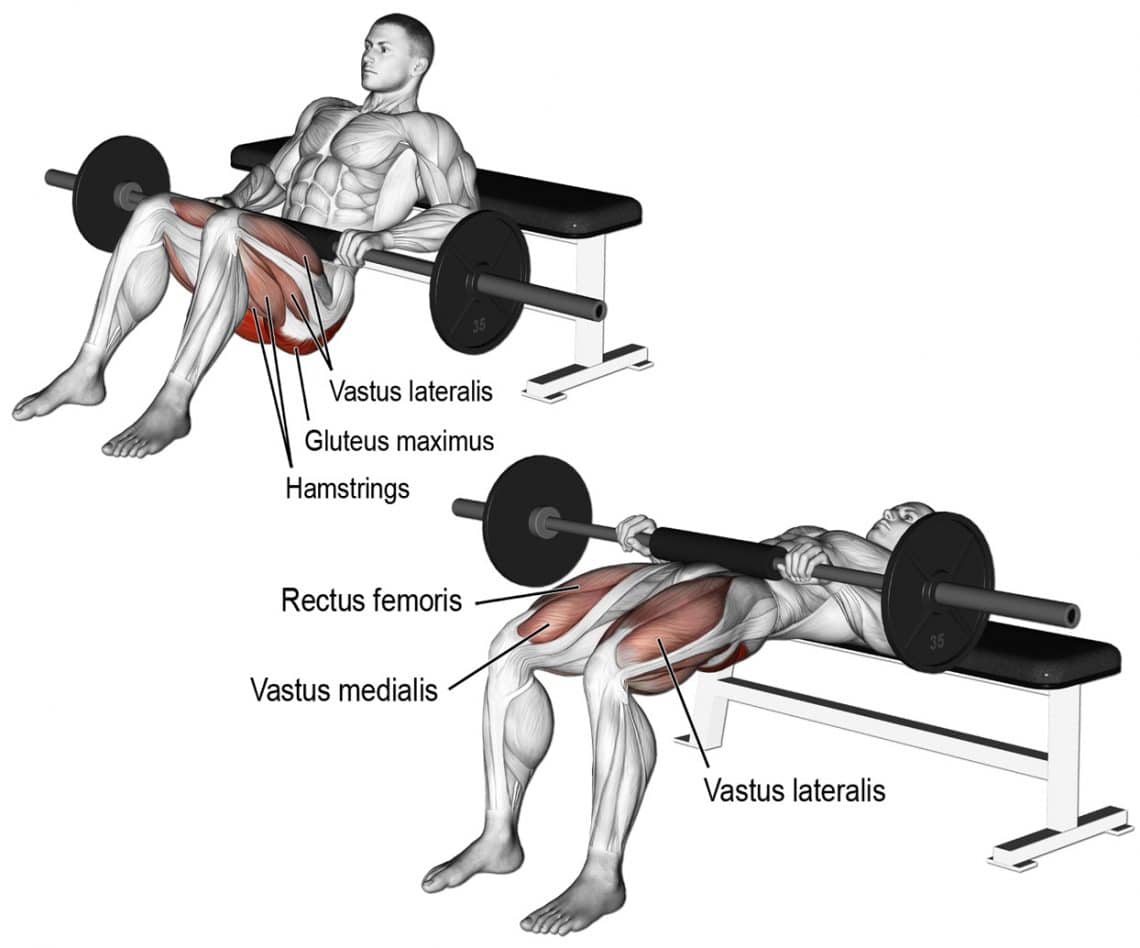 15-best-upper-glute-exercises-develop-a-shelf-butt-faster