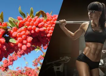 Berberine For Weight Loss