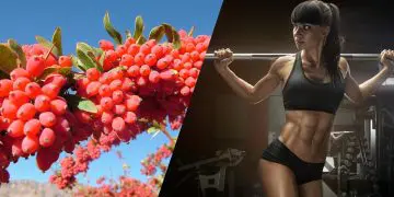 Berberine For Weight Loss