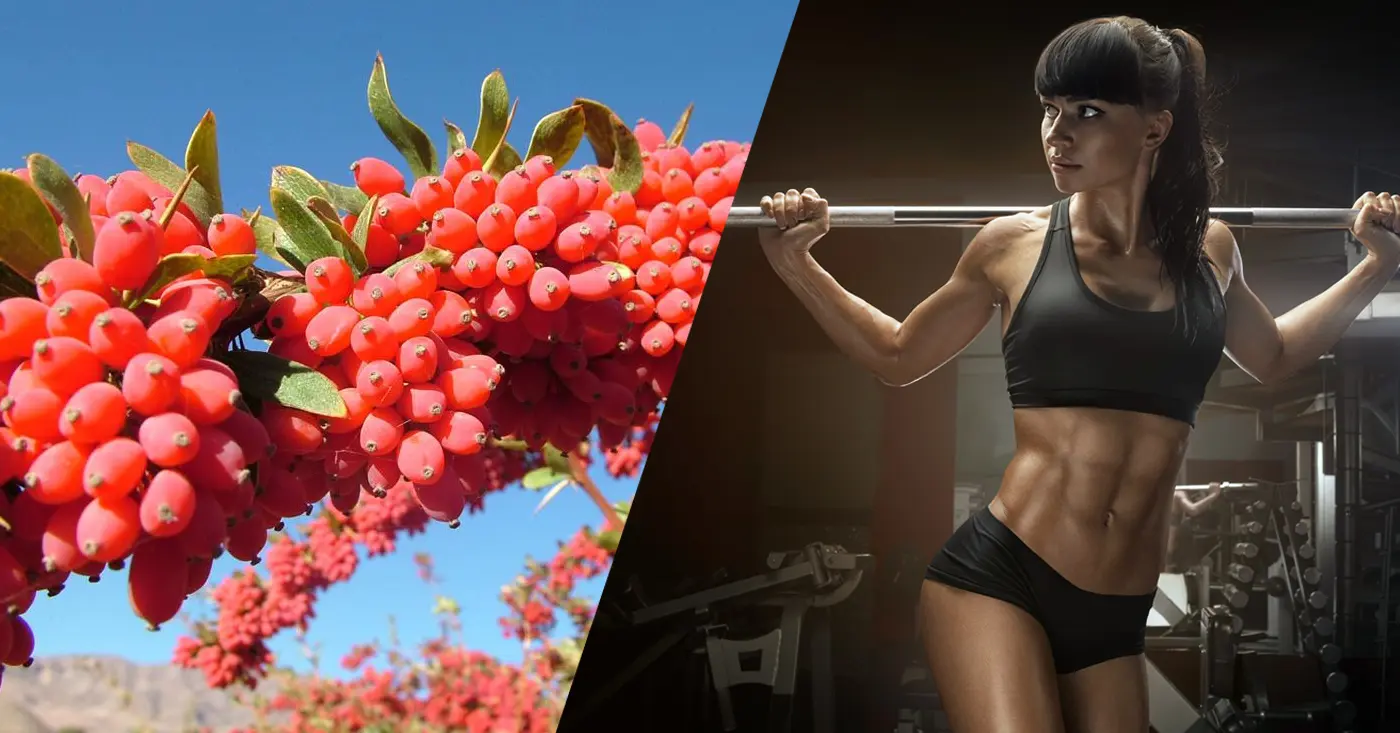 Berberine For Weight Loss