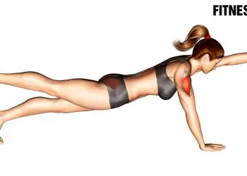 Bird Dog Exercise Guide