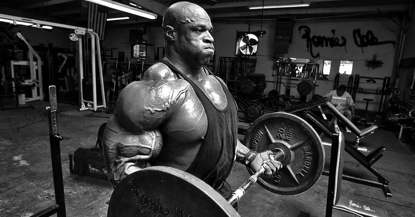 Bulking Workout Plan