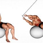 Cable Russian Twists on Stability Ball