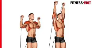 Cable Shoulder Press Exercise