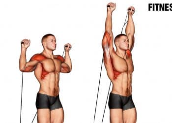 Cable Shoulder Press Exercise