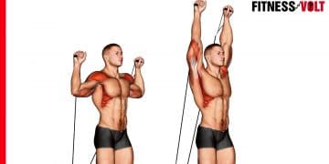 Cable Shoulder Press Exercise