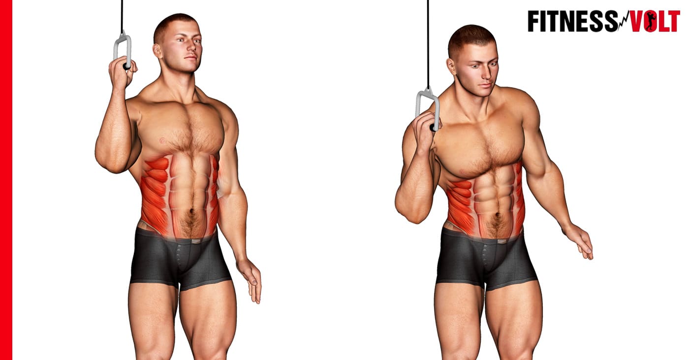 Reverse crunch exercise instructions and video