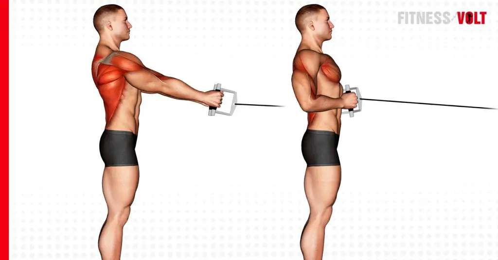 Cable Standing Row Back Exercise