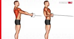 Cable Standing Row Back Exercise