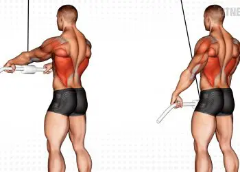 Cable Straight Arm Pulldown