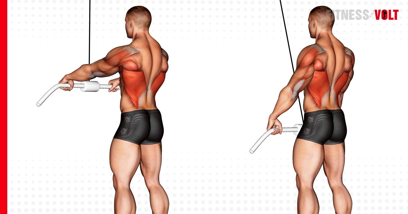 straight arm lat pulldown with dumbbells