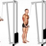 Cable Triceps Pushdown for Upper Arms