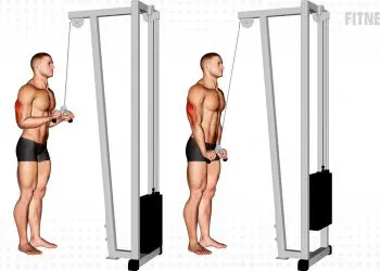 Cable Triceps Pushdown for Upper Arms