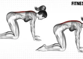 Cat Stretch Exercises