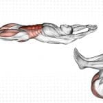 Cocoons Exercise Guide