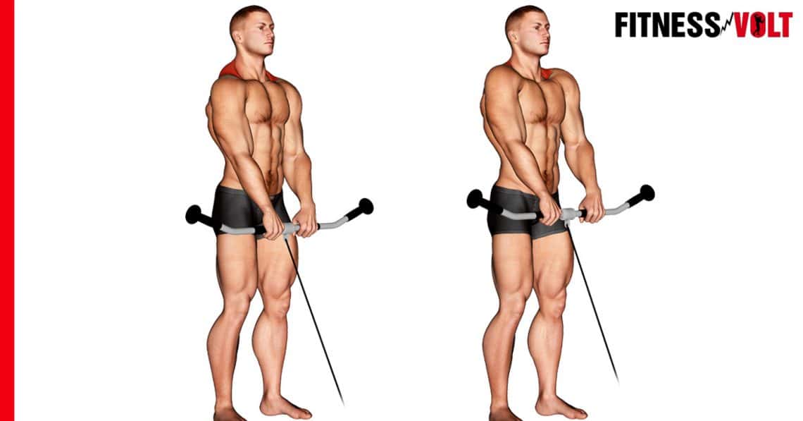 How To Do The Cable Shrug Fitness Volt