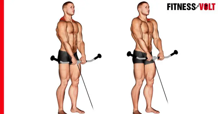 How To Do The Cable Shrug