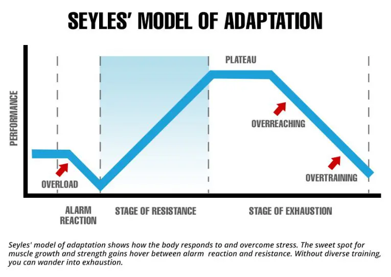 Selye's theory of adaptation