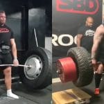 Terry Hollands