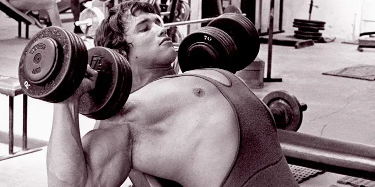 Bench Press Alternatives