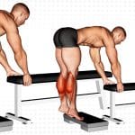 Donkey Calf Raise Calves