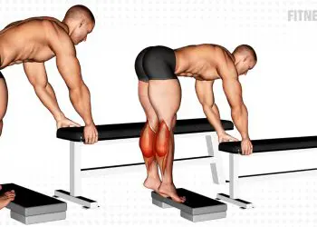 Donkey Calf Raise Calves