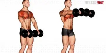 Dumbbell Front Raise