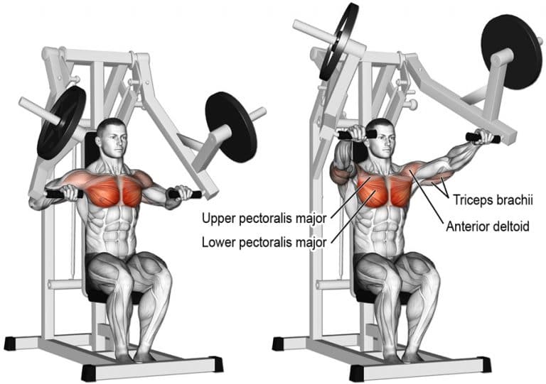 Best Bench Press Alternatives For A Big, Powerful Chest Fitness Volt