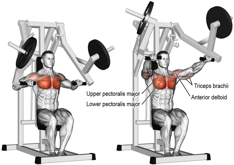 Best Bench Press Alternatives For A Big, Powerful Chest – Fitness Volt