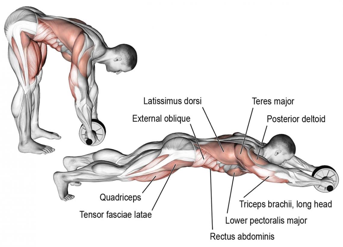 Rollouts Benefits Technique And Alternatives For Stronger Abs