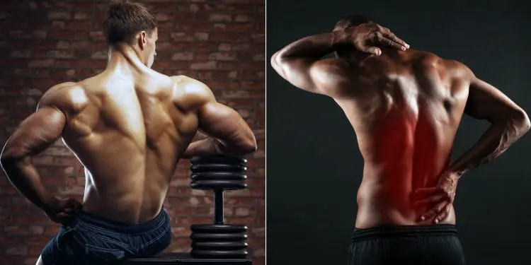 Avoid Back Pain In The Gym