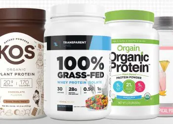 Best Protein Powders Without Artificial Sweeteners