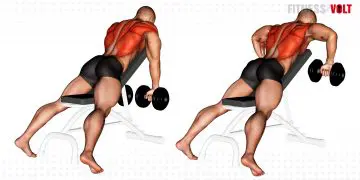 Dumbbell Incline Row Back Exercise